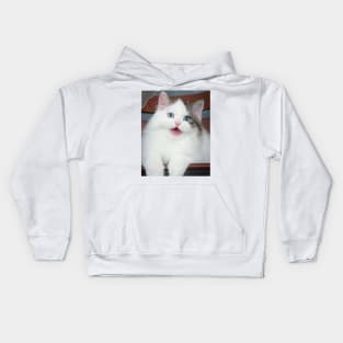 the blue eyes cats Kids Hoodie